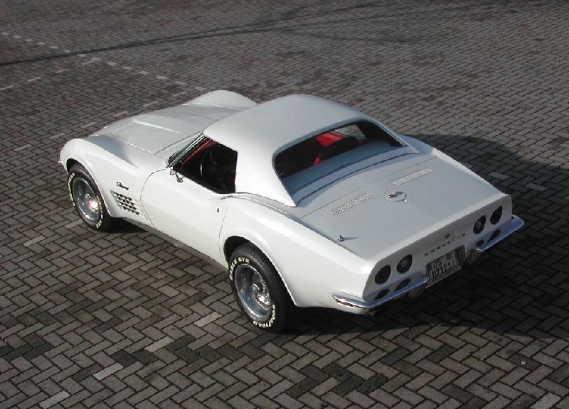 MARTINSRANCH 72 Stingray white red (18) 